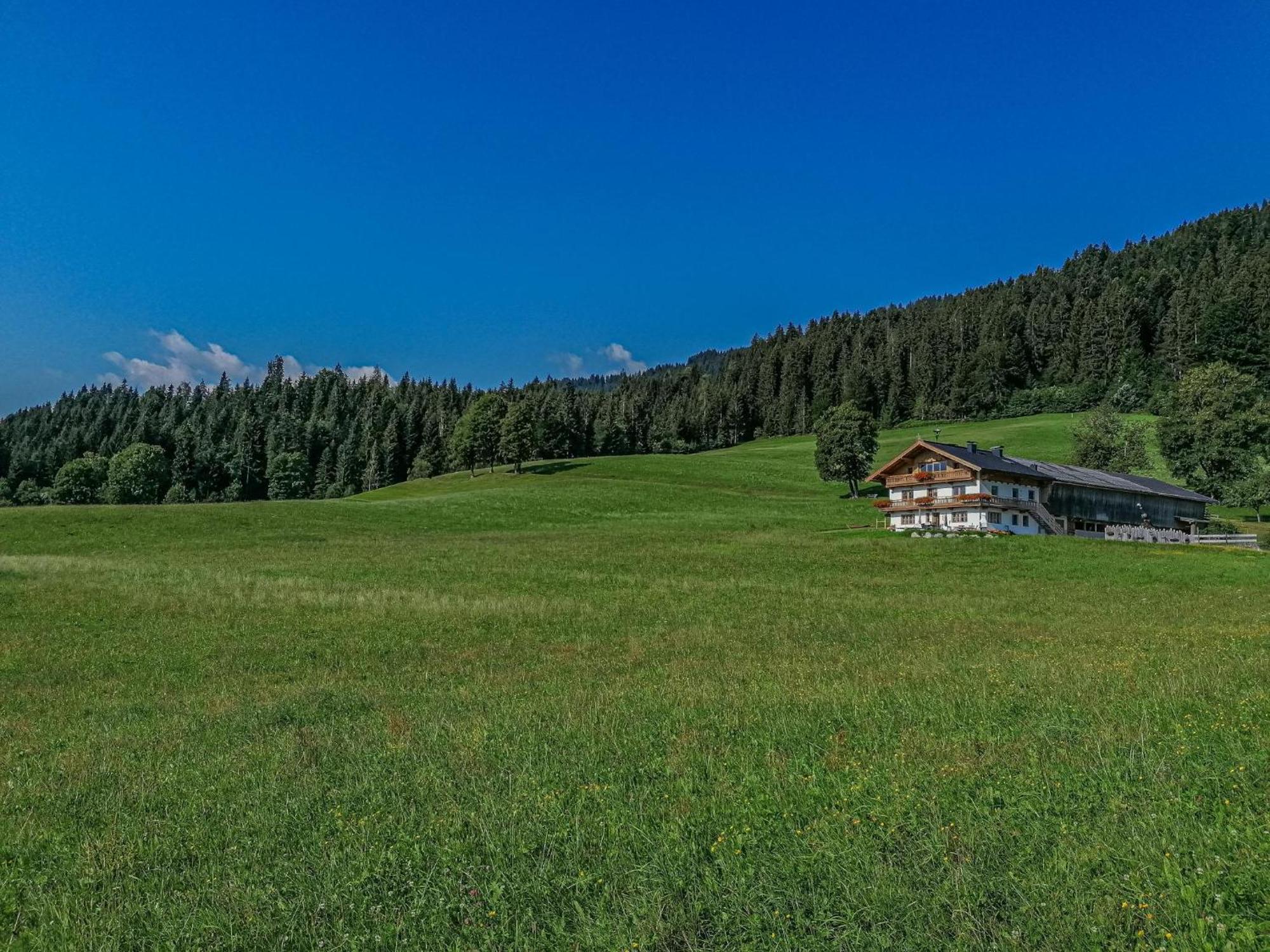 Flicklhof Xl Apartman Hopfgarten im Brixental Kültér fotó