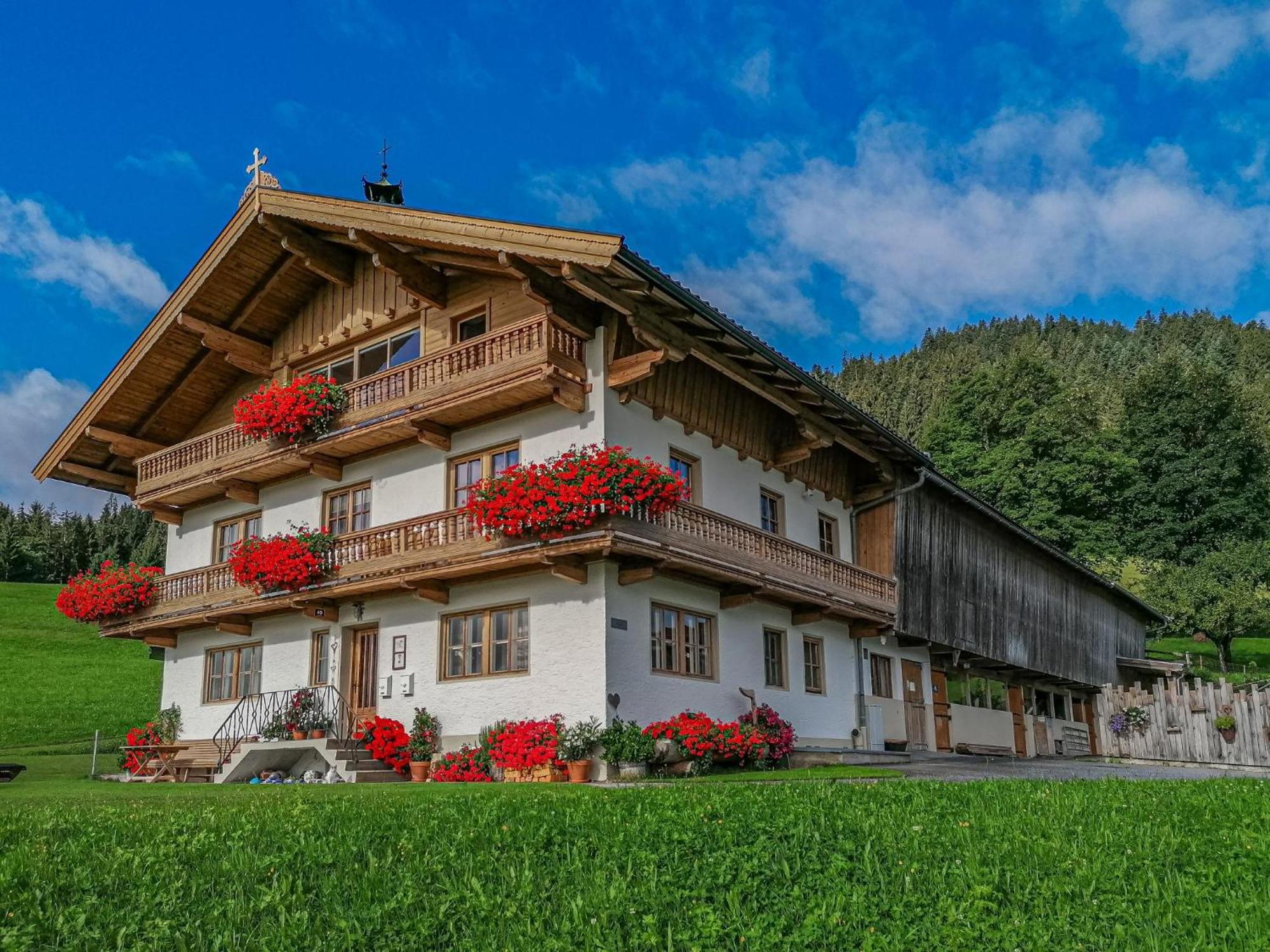 Flicklhof Xl Apartman Hopfgarten im Brixental Kültér fotó