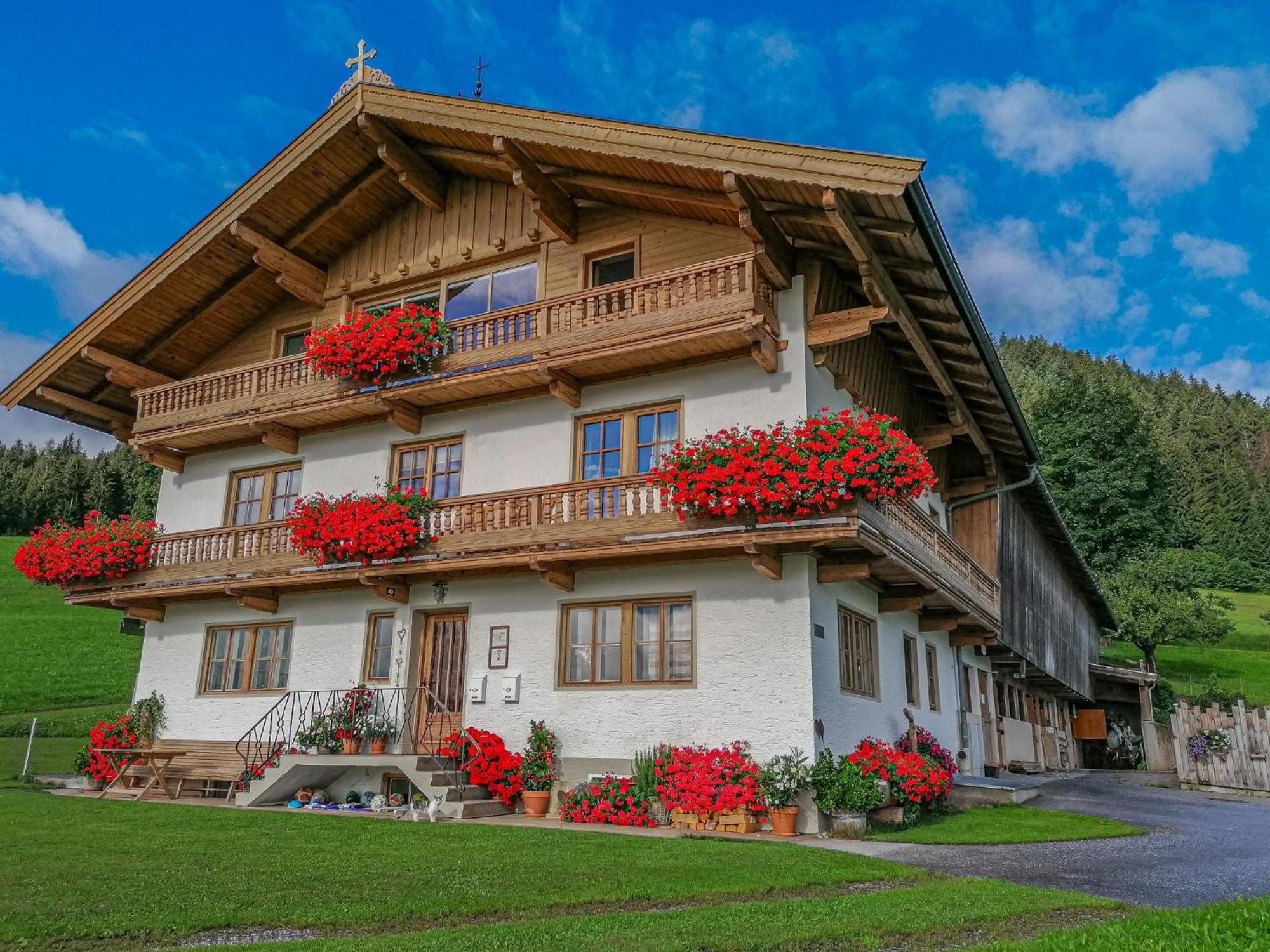 Flicklhof Xl Apartman Hopfgarten im Brixental Kültér fotó